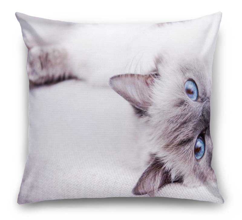 3D Подушка «Голубоглазая кошка» вид 1