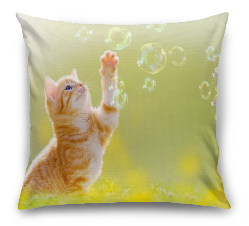 3D Подушка «Рыжий кот с мыльными пузырями» вид 1