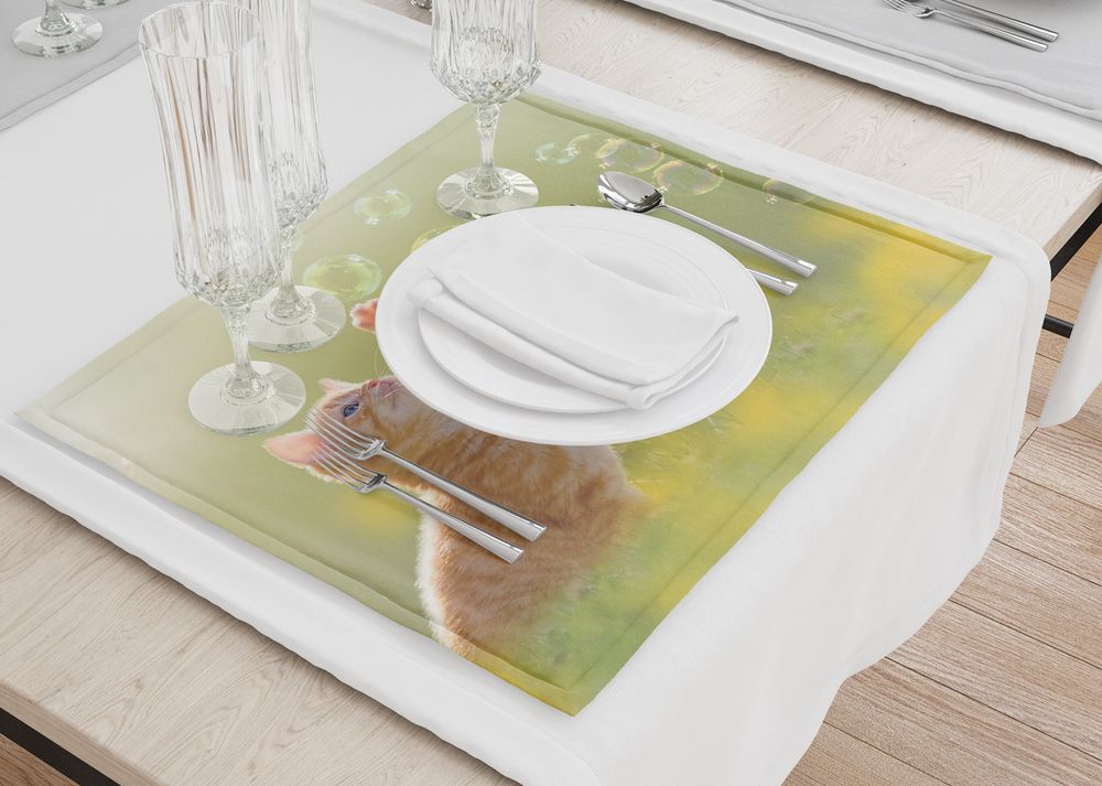 3D Фотообои Салфетки для стола «Рыжий кот с мыльными пузырями»