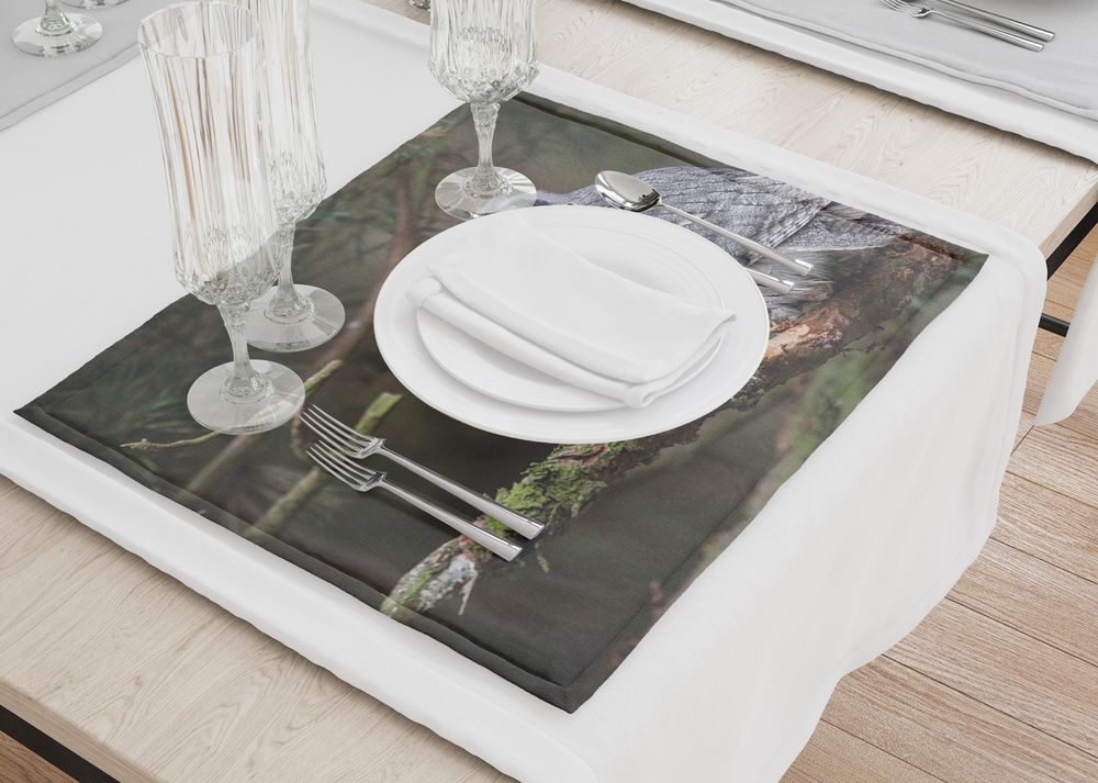 3D Фотообои Сервировочные салфетки под тарелки «Симпатичная сова»