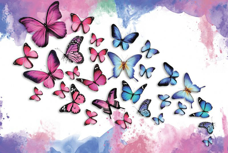 3D Фотообои «Красочные бабочки» вид 1