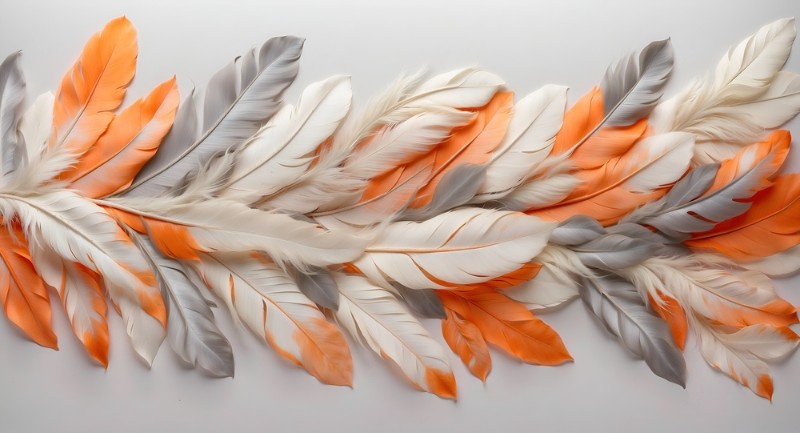 3D Фотообои 3D Фотообои «Feathers AG-FT-016»