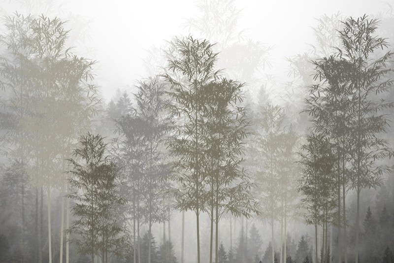 3D Фотообои 3D Фотообои «Винтажный туманный лес»