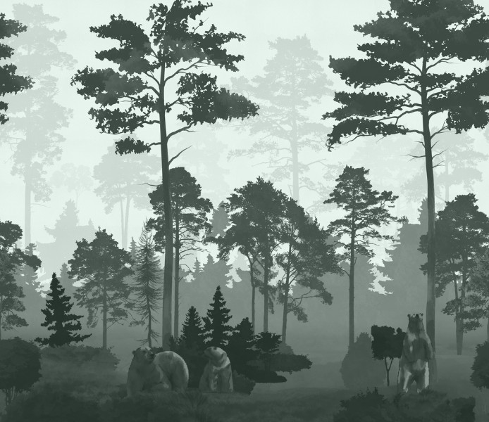 3D Фотообои 3D Фотообои «Медведи в сосновом лесу в зелёном»