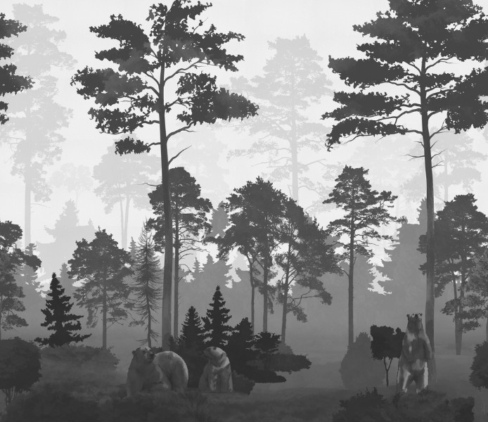 3D Фотообои 3D Фотообои «Медведи в сосновом лесу в сером»