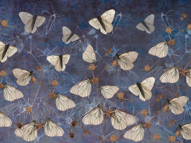 3D Фотообои 3D Фотообои «Воображение с бабочками в синих тонах»