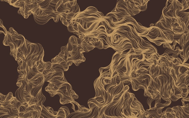 3D Фотообои 3D Фотообои «Роскошные золотые линии в бордовых тонах»