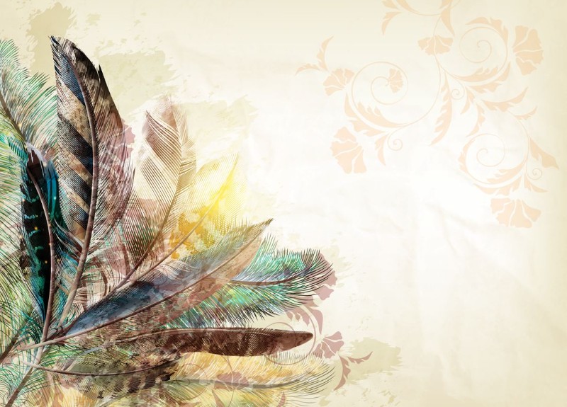 3D Фотообои 3D Фотообои «Букет из перьев с цветочным орнаментом»
