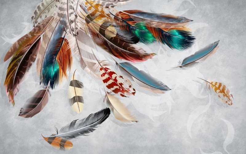 3D Фотообои 3D Фотообои «Веер из ярких перьев»