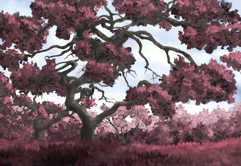 3D Фотообои 3D Фотообои «Большое ветвистое дерево в пурпурном цвете»