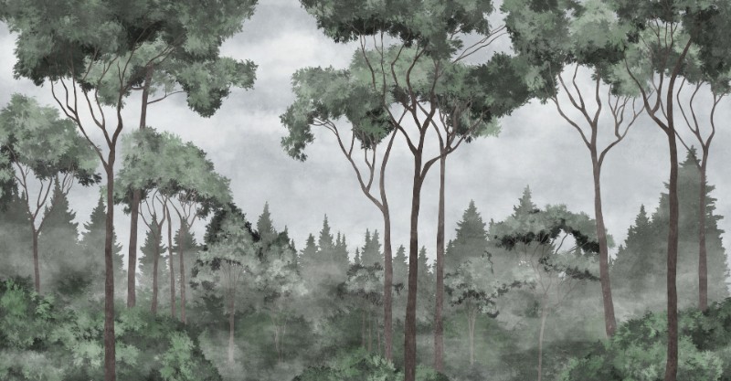 3D Фотообои 3D Фотообои «Смешанный лес в зелёных тонах»