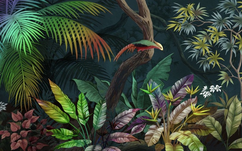 3D Фотообои 3D Фотообои «Птица в ярких тропиках»