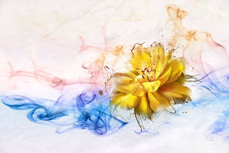 3D Фотообои 3D Фотообои «Яркий цветок в красочных потоках»