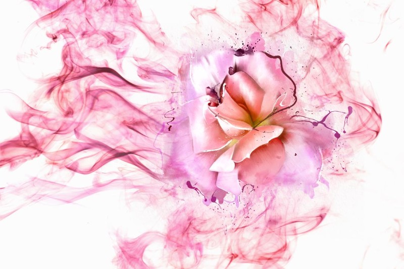 3D Фотообои 3D Фотообои «Перламутровая роза в розовой дымке»