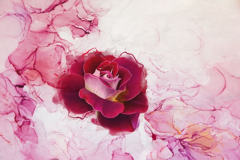 3D Фотообои 3D Фотообои «Бархатная роза на мраморе»