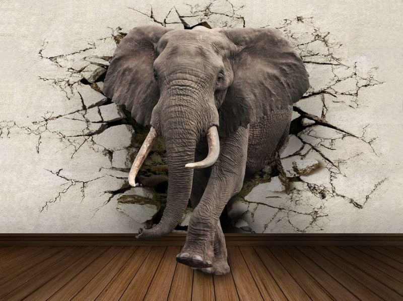 3D Фотообои  «Слон сквозь стену»  вид 1