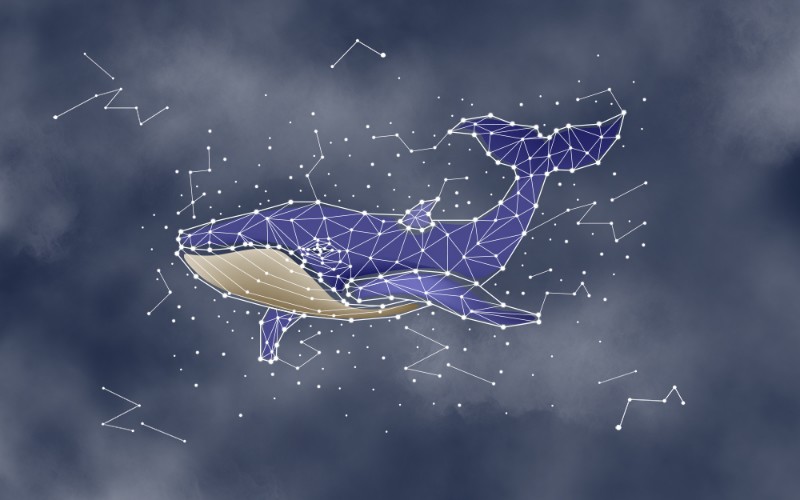 3D Фотообои 3D Фотообои «Звездный кит»