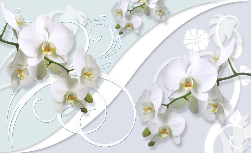 3D Фотообои 3D Фотообои «Нежная композиция с орхидеями»