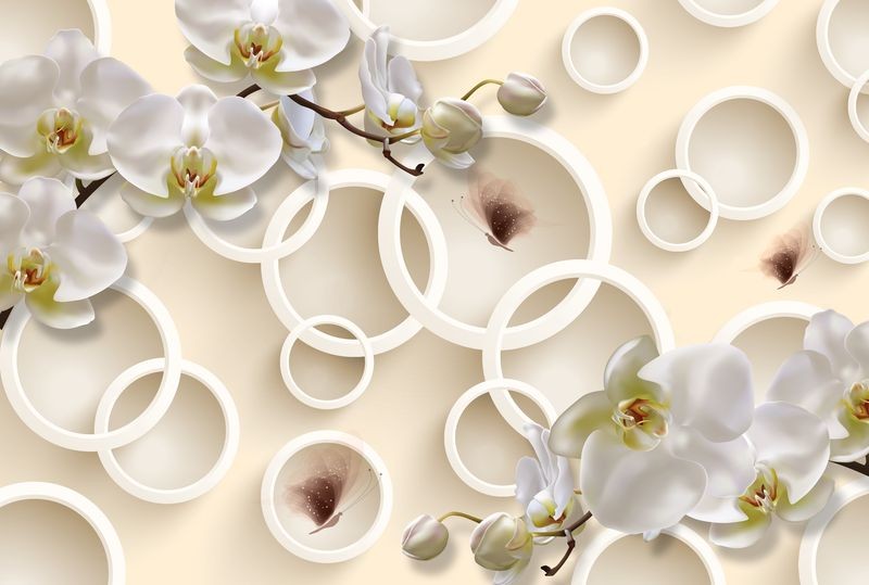 3D Фотообои 3D Фотообои  «Кремовые орхидеи с объёмными кругами и бабочками» 
