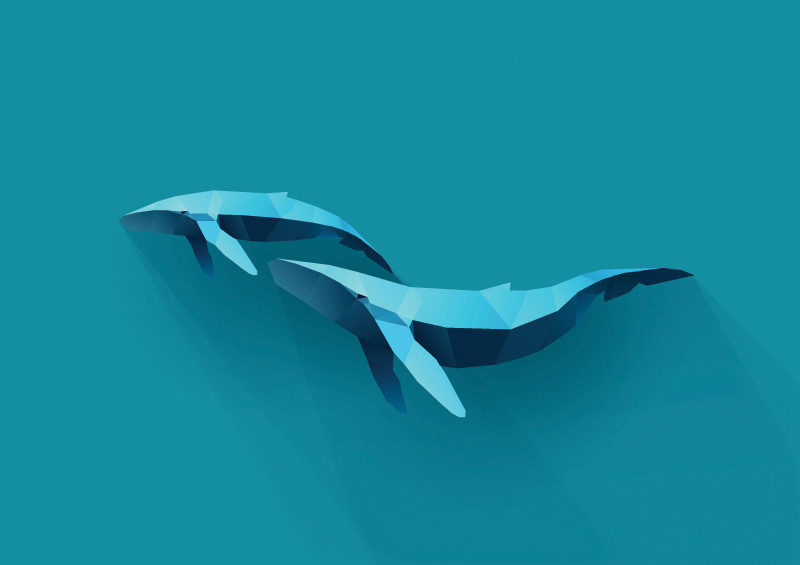 3D Фотообои 3D Фотообои «Полигональные киты»