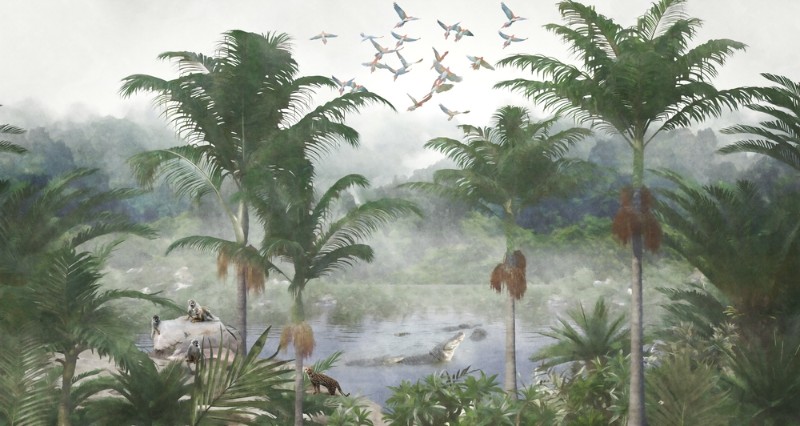 3D Фотообои 3D Фотообои «Озеро в тропиках»