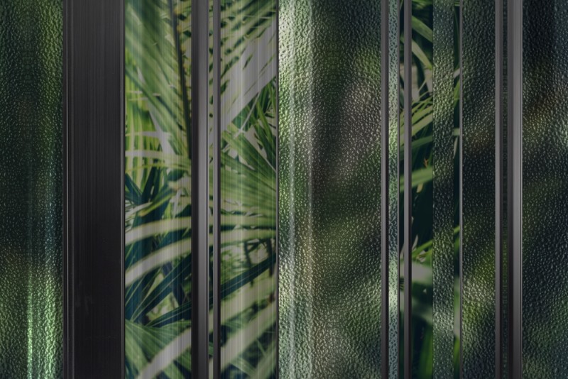 3D Фотообои 3D Фотообои «Крупные тропические листья за стеклом»