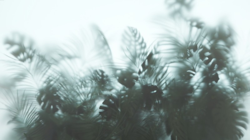 3D Фотообои 3D Фотообои «Тропические листья в дымке»
