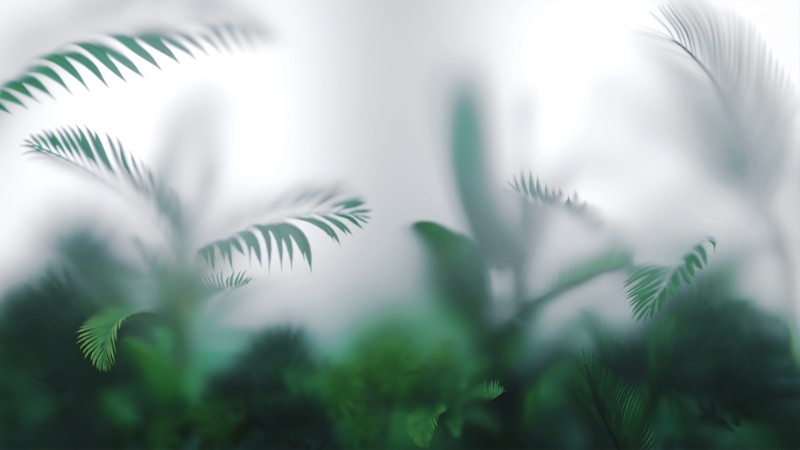 3D Фотообои 3D Фотообои «Тропические листья в тумане»