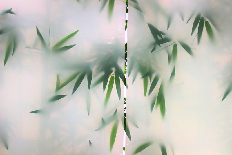 3D Фотообои 3D Фотообои «Тропические листья за стеклом»