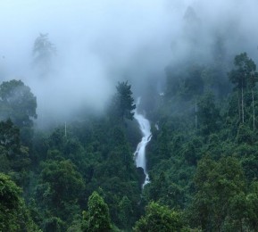 Шторы для ванной «Водопад в туманном лесу»