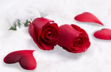 3D Ковер  «Красные розы в перьях»       