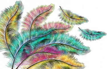 3D Ковер «Радужные перья»