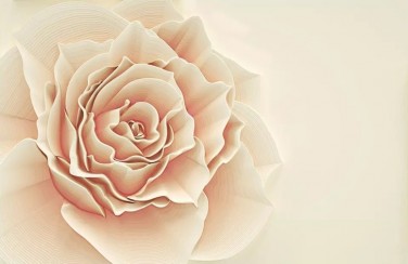 3D Ковер «Изысканная роза»