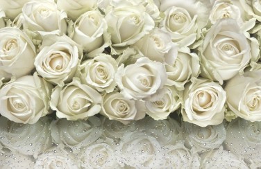 3D Ковер «Белые розы на стекле»