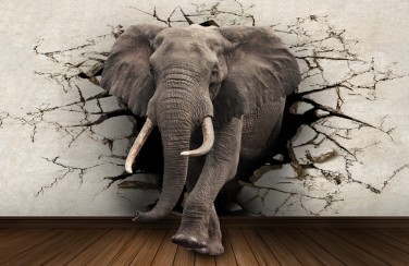 3D Ковер «Слон сквозь стену»