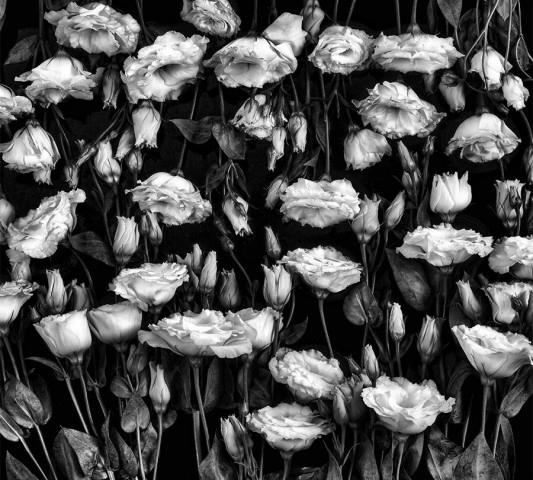 Скатерть-дорожка «Цветы на темной ткани» вид 1