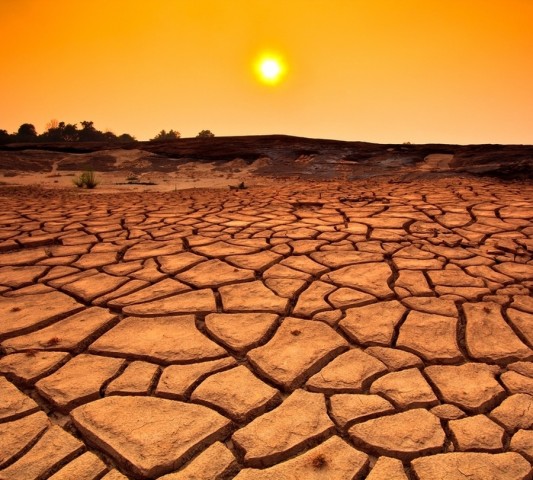 Сервировочная лента «Засушливая пустыня» вид 1