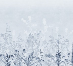 Фотошторы «Светлые полевые травы в холодных тонах»