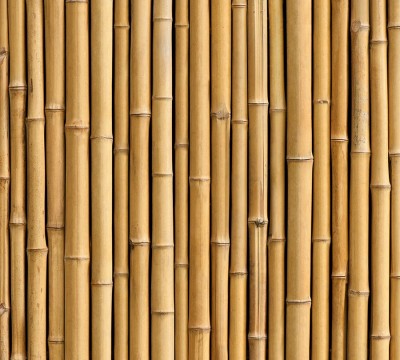 Фотошторы «Бамбуковая стена»