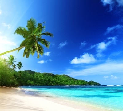 Фотошторы «Пальма на пляже»