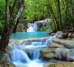 Фотошторы «Водопад в зеленом лесу»