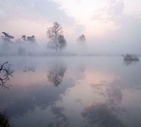 Фотошторы «Туманная дымка над озером»