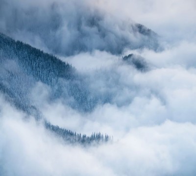 Фотошторы «Еловые склоны в голубом тумане»
