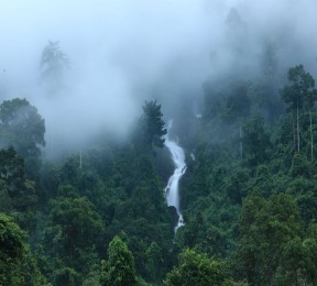 Фотошторы «Водопад в туманном лесу»