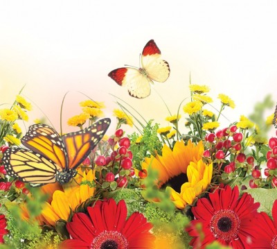 Фотошторы «Бабочки над яркими цветами»