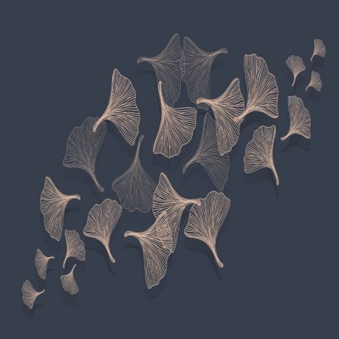 3D Плед «Летящие зонтики на тёмном» вид 2