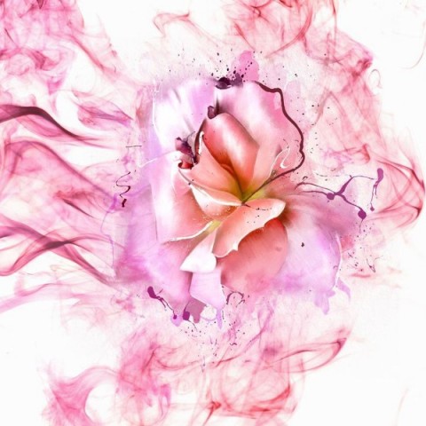 3D Плед «Перламутровая роза в розовой дымке» вид 2