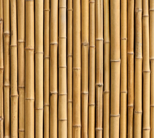 Плед велсофт «Бамбуковая стена»