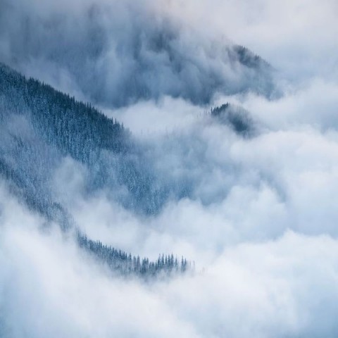 3D Плед «Еловые склоны в голубом тумане» вид 2
