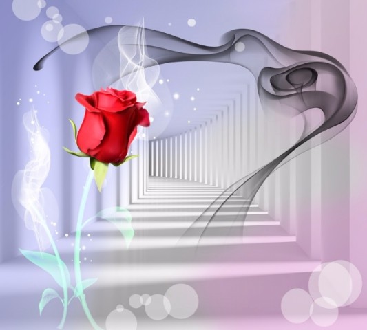 Уютный плед «Красная роза в тоннеле» вид 2